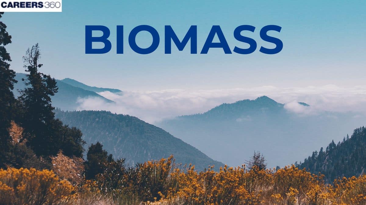 Biomass Definition (Ecology)